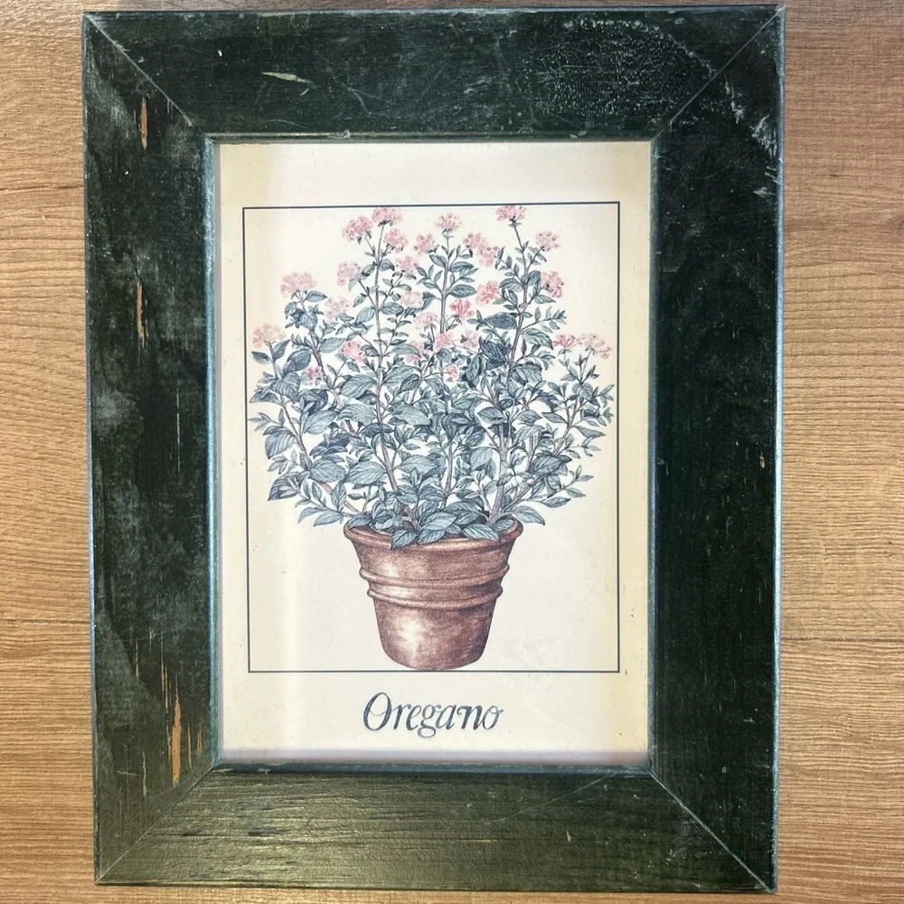 Unbranded Set of 3 Black Framed Herb‎ Prints (Basil, Thyme, Oregano)